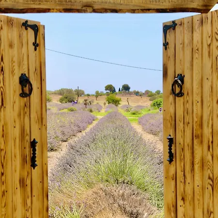 Lägenhet Apart Daire Didim