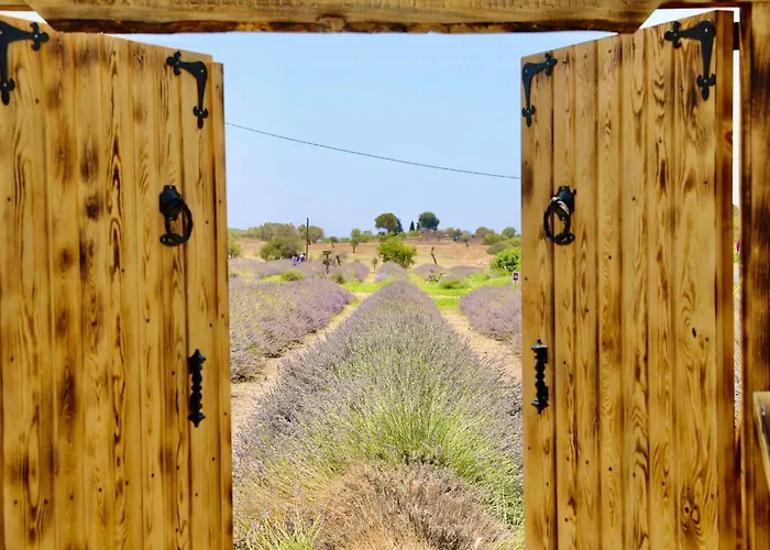 Apartamento Apart Daire Didim